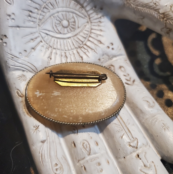 **RARE VINTAGE** One of a kind natural solid Tiger Eye stone handpainted brooch - Picture 4 of 4